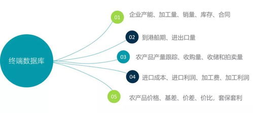 全國玉米、大豆、小麥價格數據及后期走勢分析——基于計算機軟件技術開發