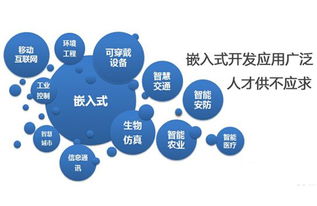 嵌入式系統(tǒng)發(fā)展前景廣闊，計算機軟件技術(shù)開發(fā)者需關(guān)注