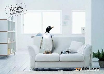 創意廣告設計 從概念到視覺的魔法之旅